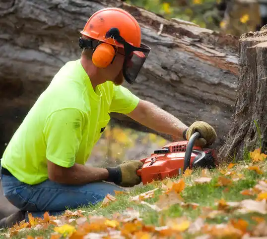 tree services Brownton